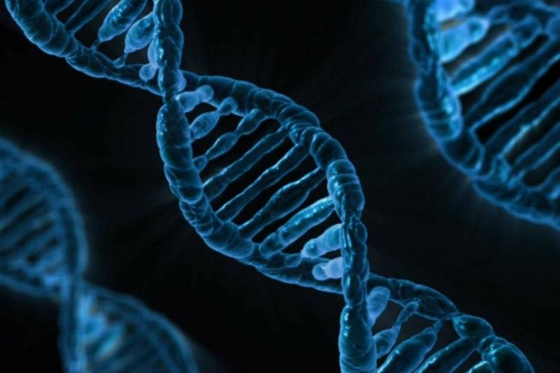A diagram shows a close-up of DNA. 