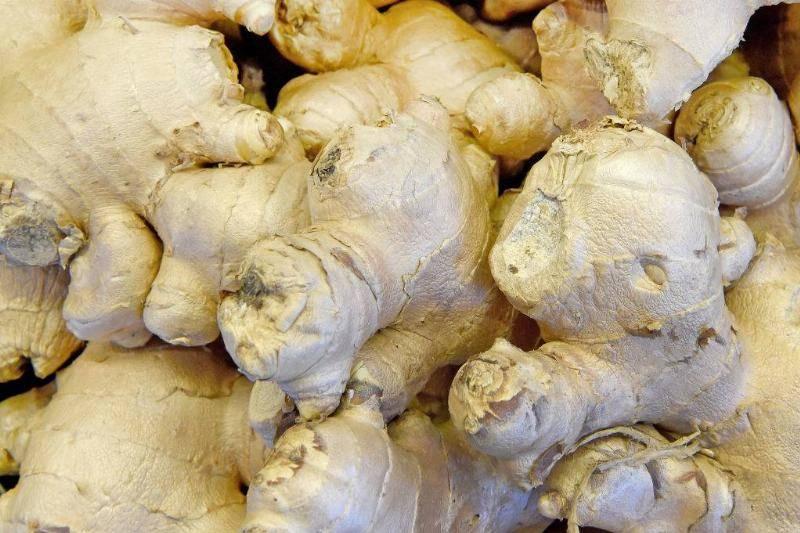 ginger-1003844092-65830