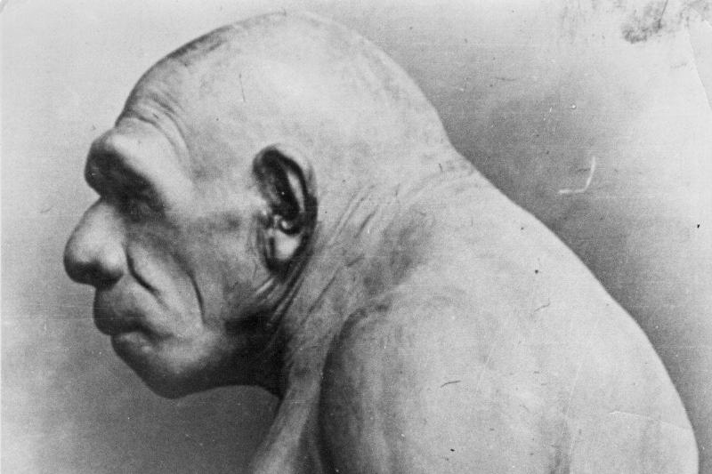 pre-historic man A pre-historic man was constructed based off of bones found in 1920.