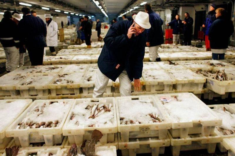 seafood-market-73237927-18249