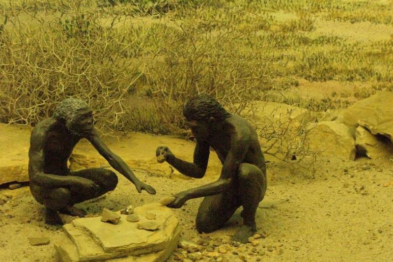 two Neanderthals Two ancient humans are represented in this museum display.
