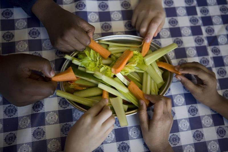 UK - Food - Organic food as part of school meals
