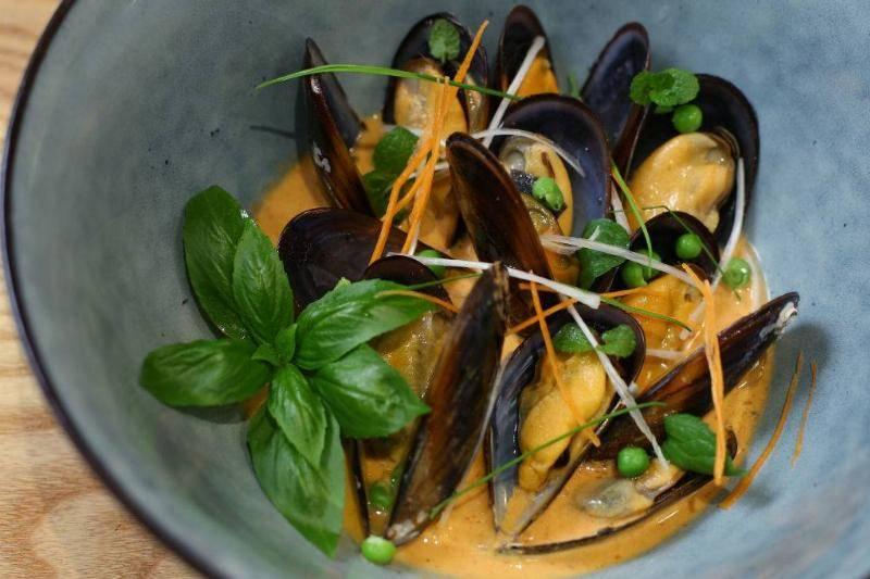 umami-1126557129-26189