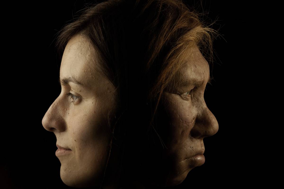 woman evolution A modern woman's face is shown next to an ancient woman's face.
