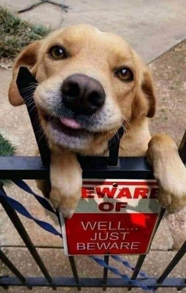 beware Friendly looking dog leaning up on fence where sign can be seen: