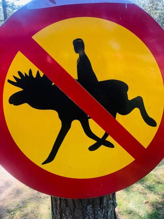 no riding the moose Sign of a person riding a moose with a red line through it to indicate not to do so