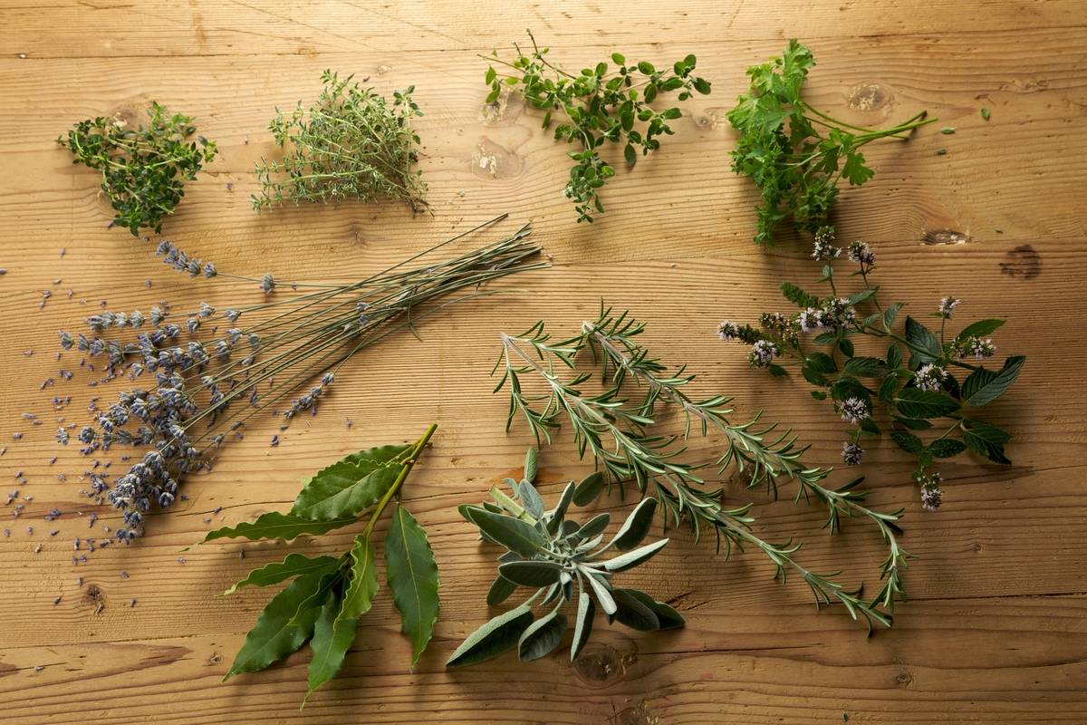 herbs A variety of herbs are on a cutting board.
