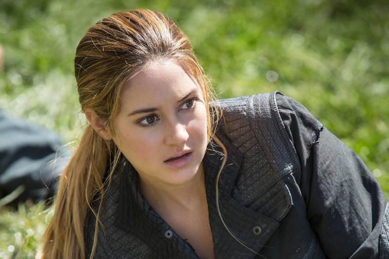 divergent_cfbb49 divergent_cfbb49