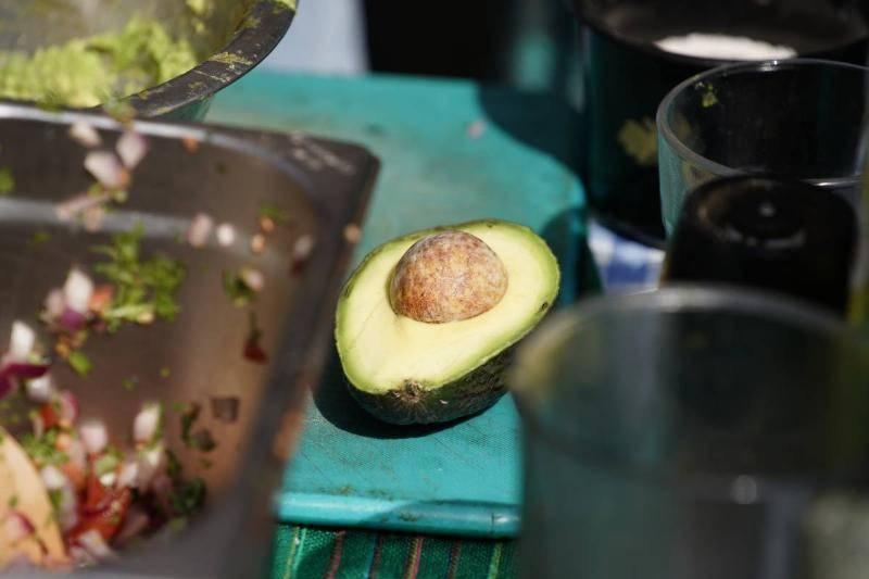 avocado-25999 avocado-25999