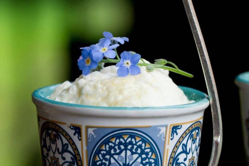cottage-cheese-74948 cottage-cheese-74948