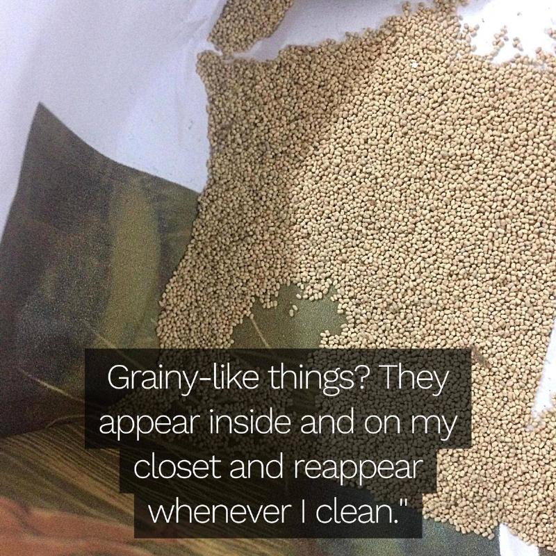 person finds these tiny beige balls at appear inside their closet