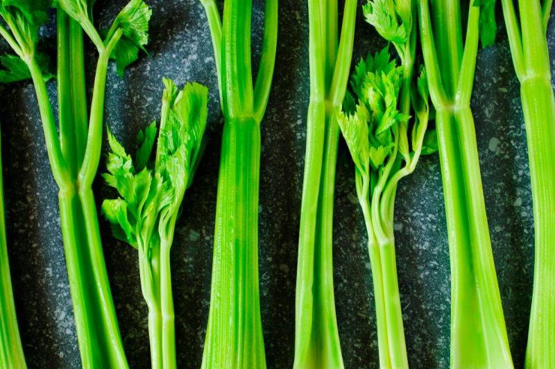 celery 1190873494 celery lined up on a counter