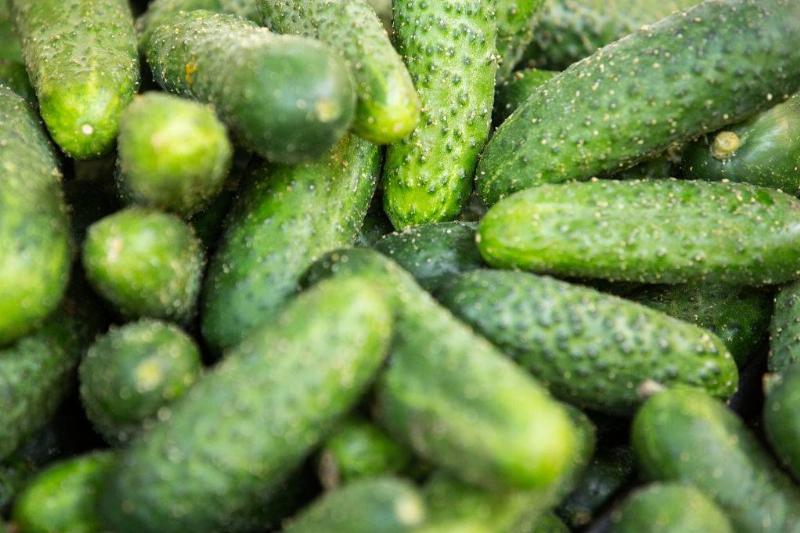 cucumber 1221998952 Fresh cucumbers seen displayed on store shelves