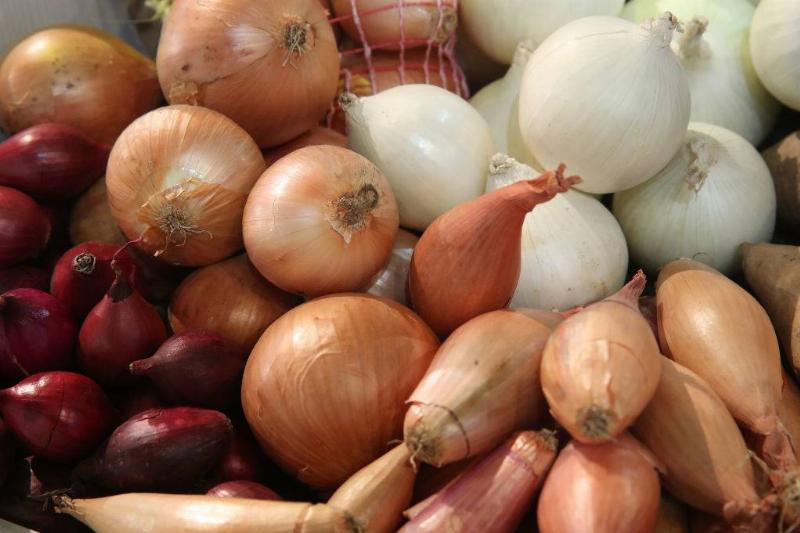 onions 907143050 Onions and shallots lie on display