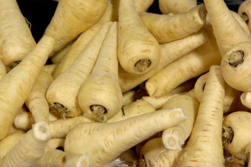 parsnips 834882022 parsnips piled together