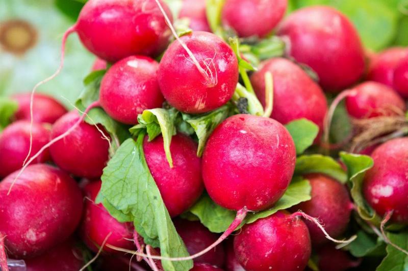 radishes 1221998967 radishes displayed at a store