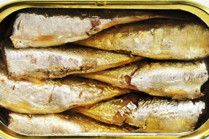 sardines sardines in a can