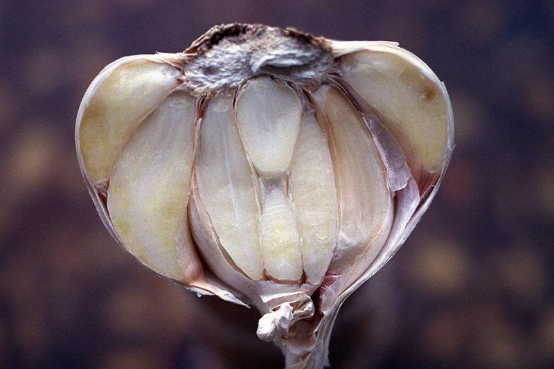 garlic 56049484 garlic sliced