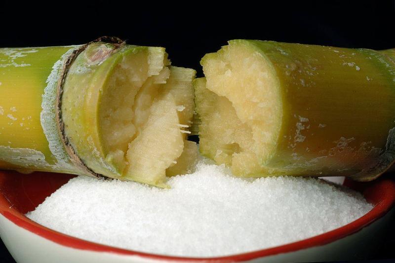 CSIRO_ScienceImage_10529_Sugarcane_and_bowl_of_sugar CSIRO_ScienceImage_10529_Sugarcane_and_bowl_of_sugar