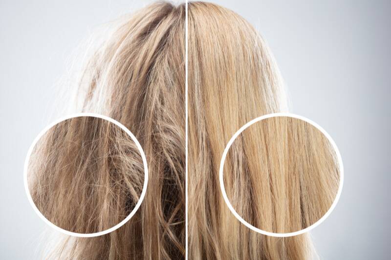 Hair Health Hair Health