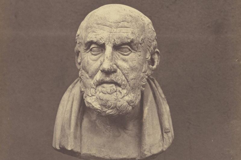 Bust of Chrysippus. Bust of Chrysippus.