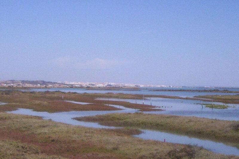 Caño_de_Sancti_Petri_ San_Fernando