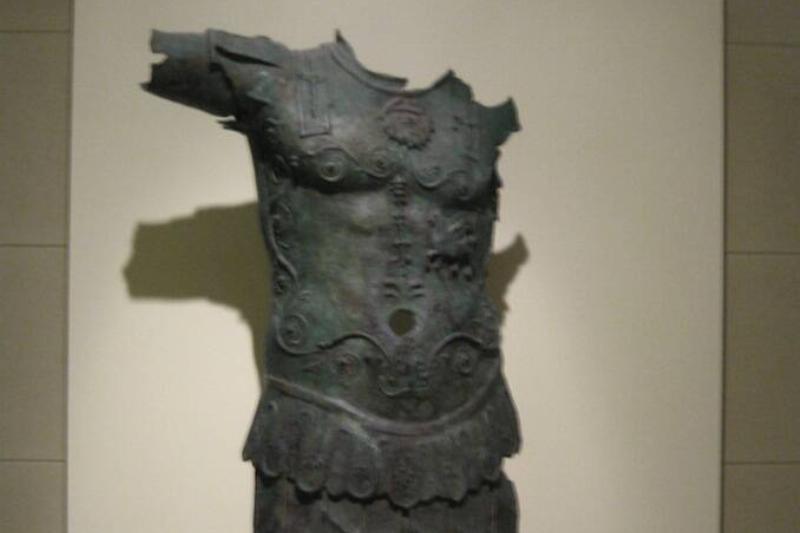 Emperador_thoracato_de_Sancti_Petri Emperador_thoracato_de_Sancti_Petri