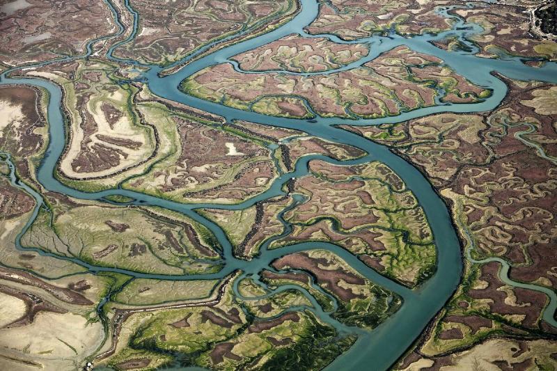 The Sancti Petri marshlands.