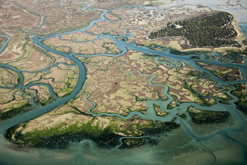 The Sancti Petri marshlands. The Sancti Petri marshlands.
