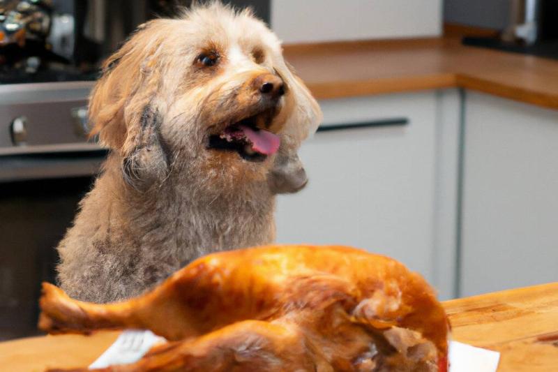 DALL·E 2023-06-06 10.10.14 - A fluffy dog looking excitedly at a roast chicken that is sitting on a kitchen table DALL·E 2023-06-06 10.10.14 - A fluffy dog looking excitedly at a roast chicken that is sitting on a kitchen table