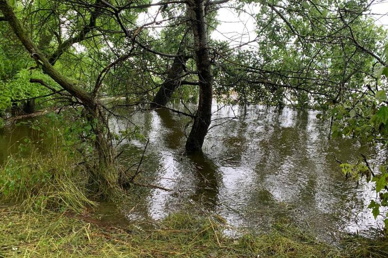 Flood hits villages in Ukraine's Kherson Flood hits villages in Ukraine's Kherson