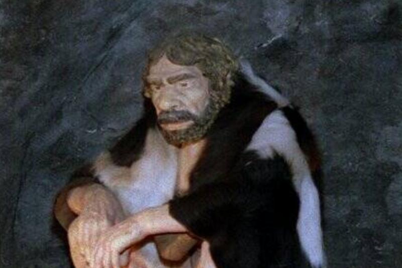 Neandertal-Museum in Mettmann Neandertal-Museum in Mettmann