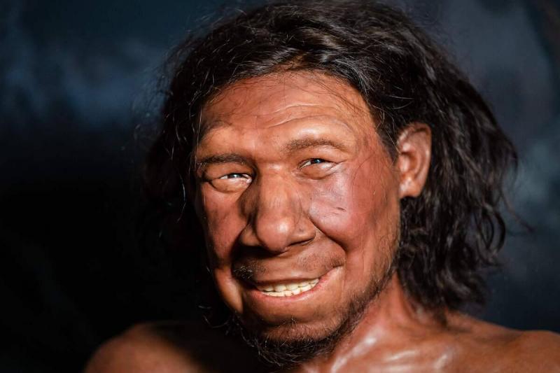 NETHERLANDS-SCIENCE-HUMAN-NEANDERTHAL-MUSEUM NETHERLANDS-SCIENCE-HUMAN-NEANDERTHAL-MUSEUM