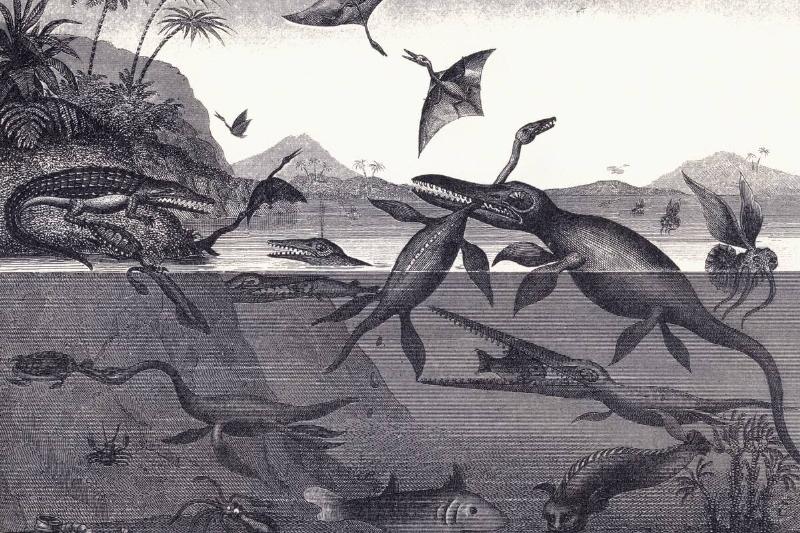 Prehistoric Animals Of The Lias Group Prehistoric Animals Of The Lias Group