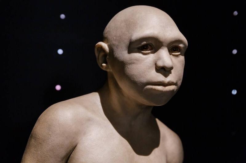 SPAIN-ARCHAEOLOGY-HISTORY-ATAPUERCA SPAIN-ARCHAEOLOGY-HISTORY-ATAPUERCA