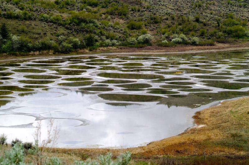 Spotted_Lake_ panoramio_(3) Spotted_Lake_ panoramio_(3)