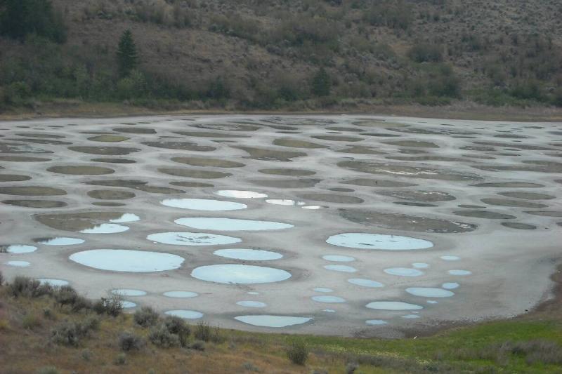 Spotted_Lake_close-up Spotted_Lake_close-up