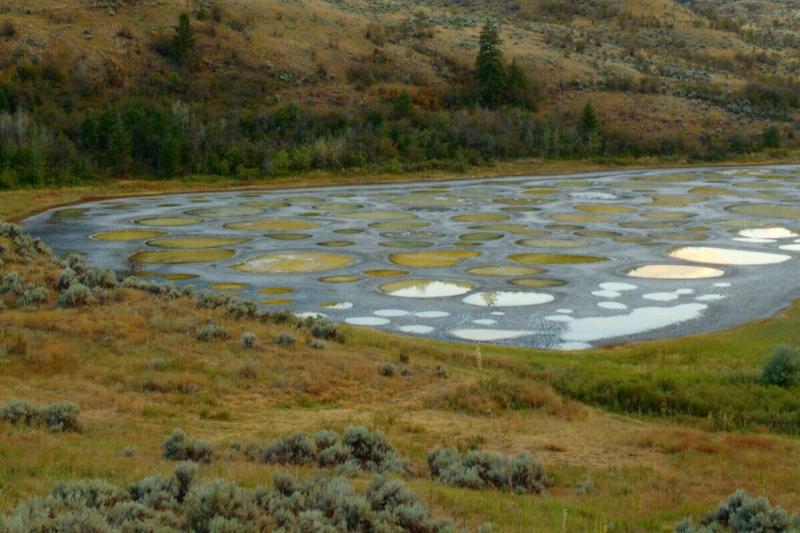 spotted lake Osoyoos_desert spotted lake Osoyoos_desert