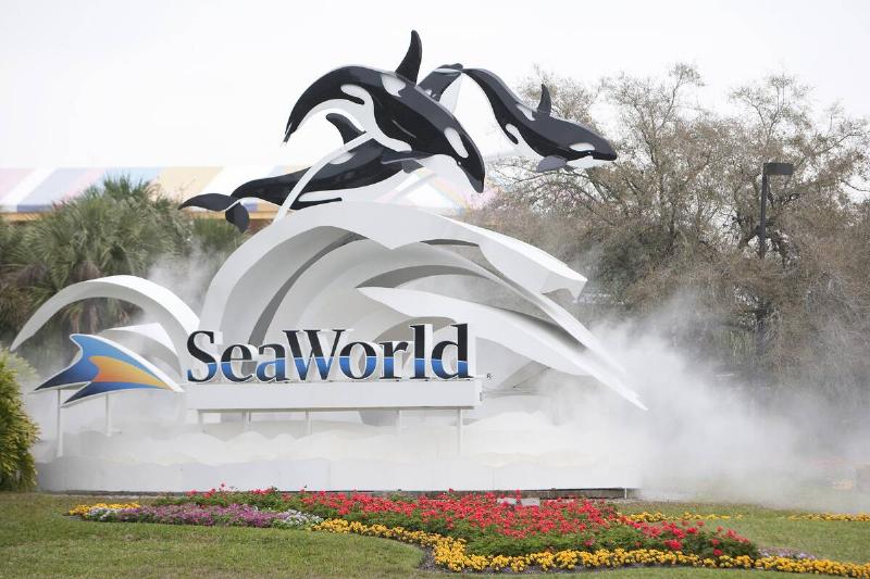 Killer Whale Kills Trainer Before Show At SeaWorld Killer Whale Kills Trainer Before Show At SeaWorld