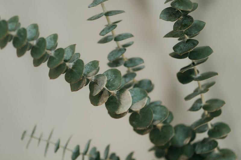 mathilde-langevin-qTIMfMtfEpg-unsplash mathilde-langevin-qTIMfMtfEpg-unsplash