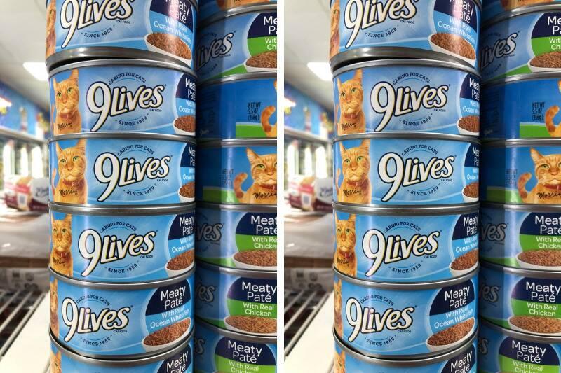 9lives2 9lives2
