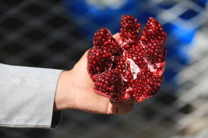 AFGHANISTAN-KANDAHAR-POMEGRANATES-CIIE