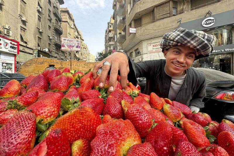 Daily life in Cairo