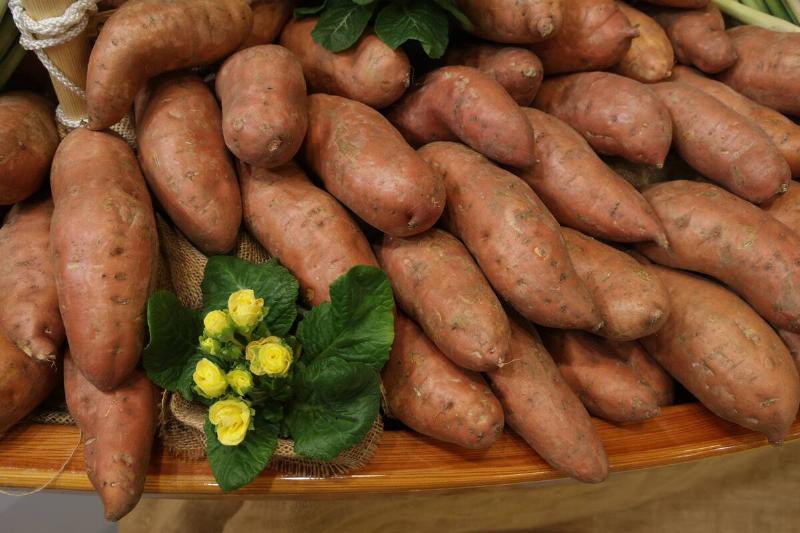 Green Week Agricultural Trade Fair 2024 Green Week Agricultural Trade Fair 2024