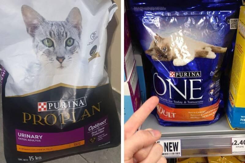 purina2 purina2