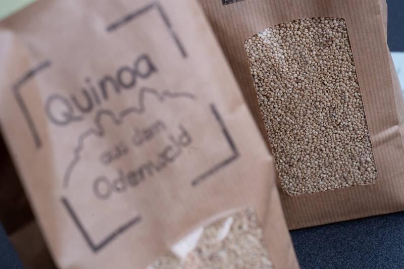 Quinoa from Hesse