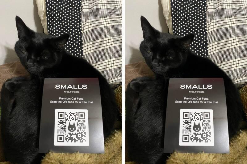 smalls2 smalls2
