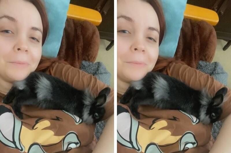 bunny2 bunny2