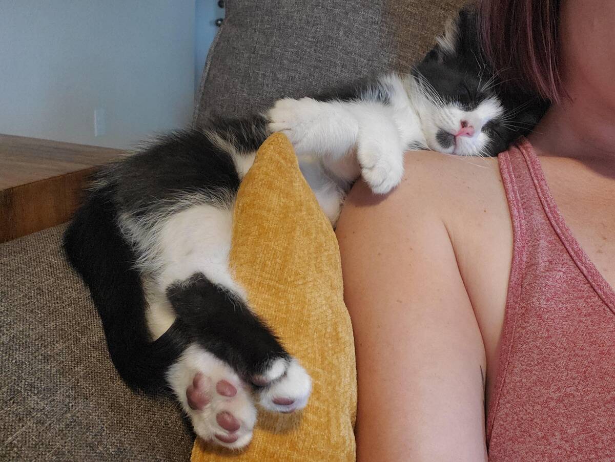 sleepy