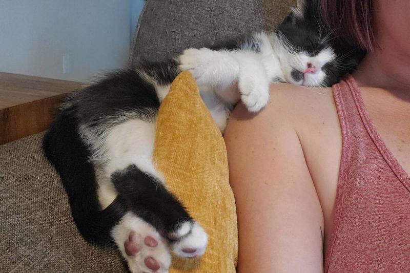 sleepy